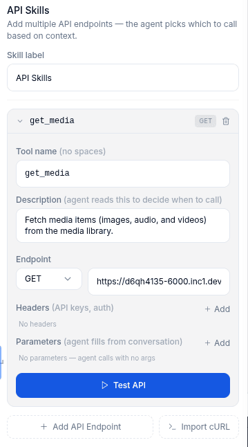 API Skill configuration