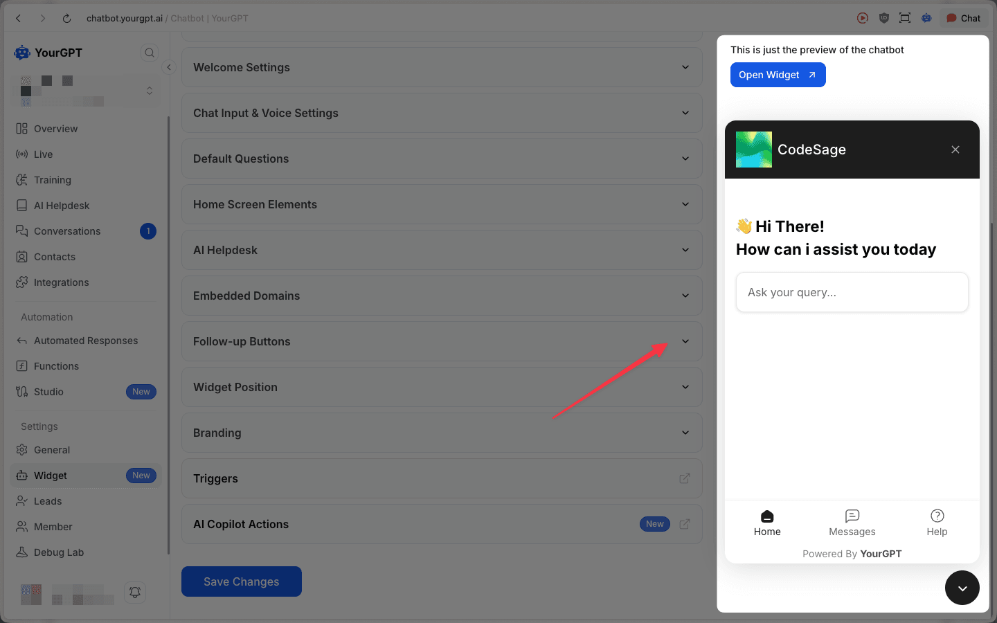 Preview Your Chatbot